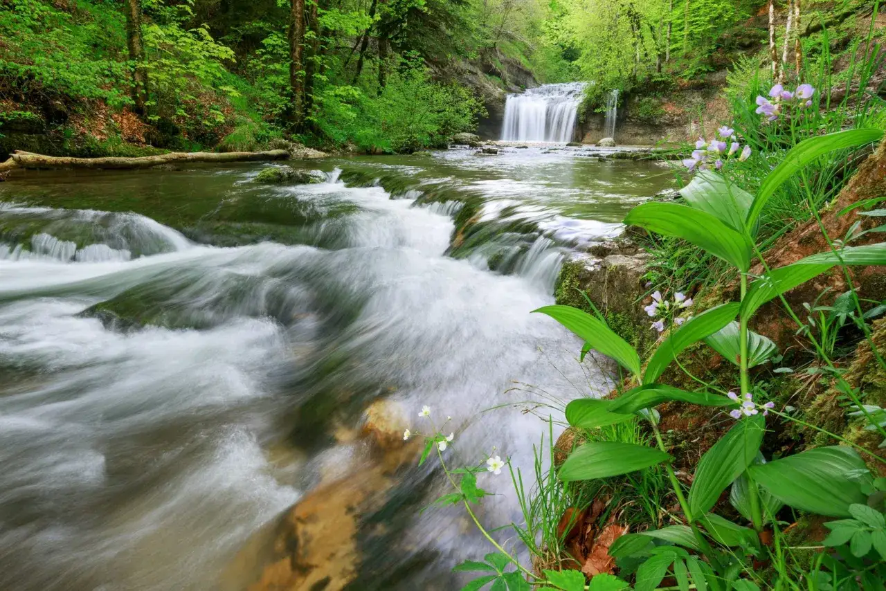 Une cascade et des rapides dans une for&ecirc;t verdoyante. L'eau vive invite &agrave; l'&eacute;chapp&eacute;e jurassienne, au c&oelig;ur de la nature.