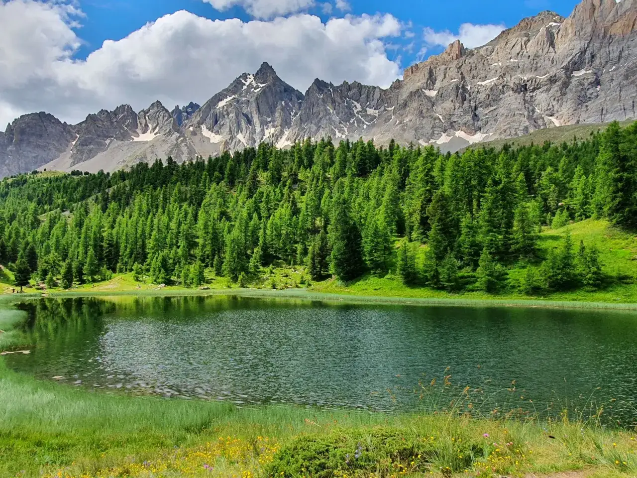 Lac alpin paisible, entouré de pins verdoyants et de montagnes majestueuses. Idéal pour une randonnée à Ceillac.