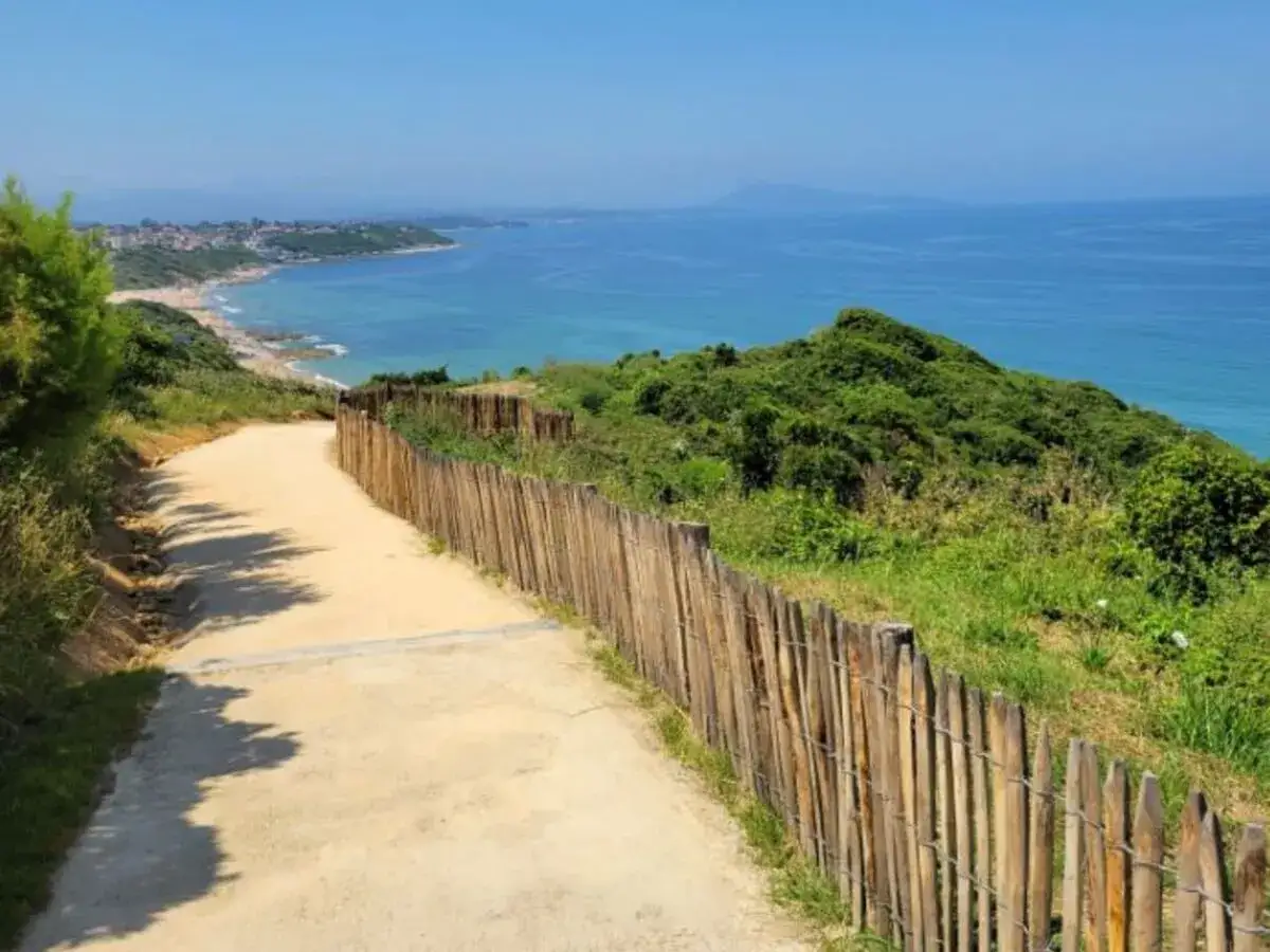 Sentier côtier bordé de bois menant à une plage, avec vue sur la mer bleue et les collines verdoyantes du gr pays basque.