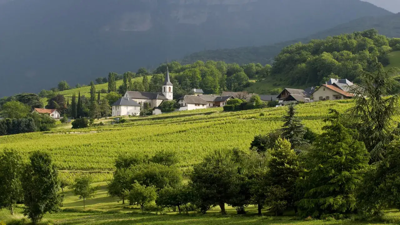 Village pittoresque avec une &eacute;glise et des vignobles verdoyants, sous un ciel mena&ccedil;ant. Le code GR 965 identifie ce paysage paisible.