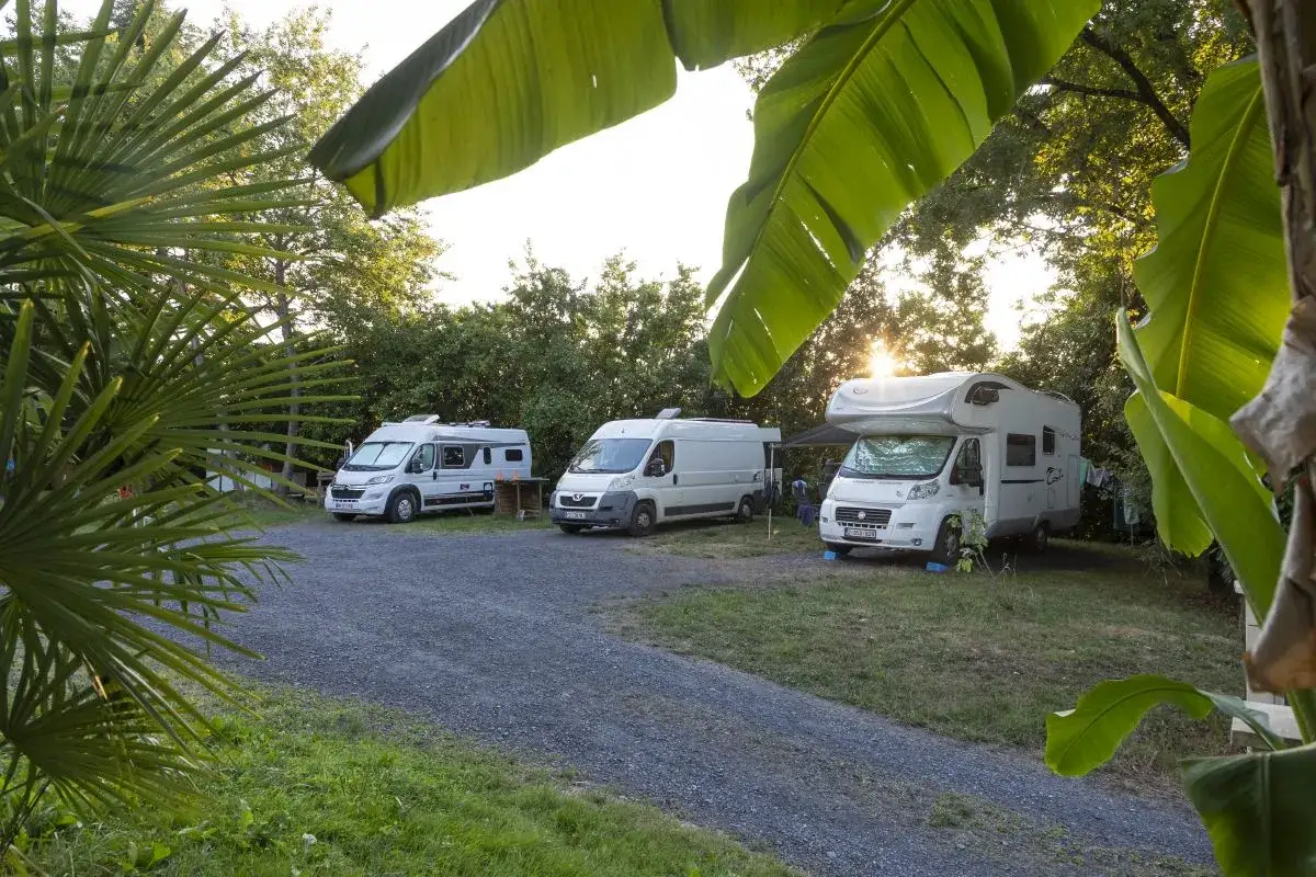 Trois camping-cars stationnés dans un jardin verdoyant, offrant un bel emplacement camping-car chez particulier. Le soleil brille à travers les feuilles.