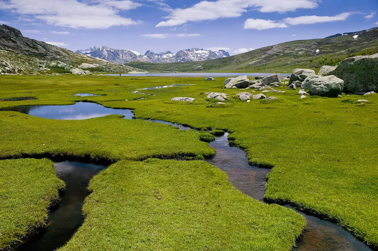 Vaste prairie verdoyante traversée par un ruisseau, avec des mares et des rochers. Au loin, un lac et des montagnes enneigées, paysage typique du GR20 en Corse.