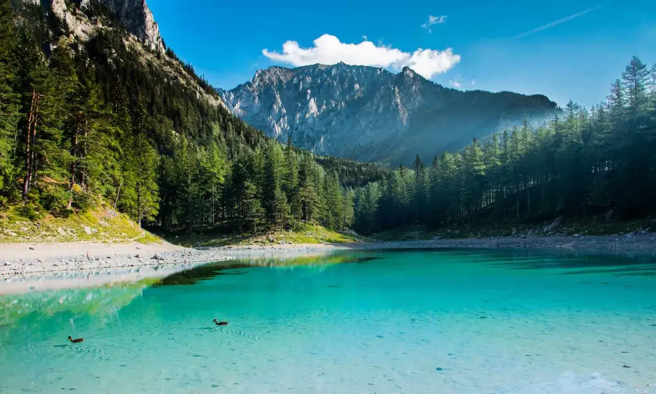 Un lac vert &eacute;meraude en Autriche, entour&eacute; de montagnes majestueuses et de for&ecirc;ts denses. Deux canards nagent paisiblement dans ses eaux cristallines.